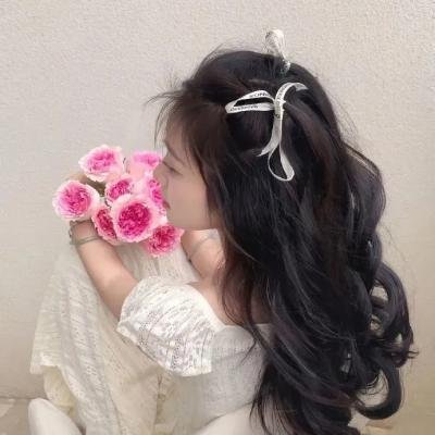 女剧盗